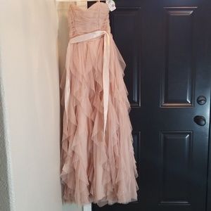 Light Pink Sparkled Gown